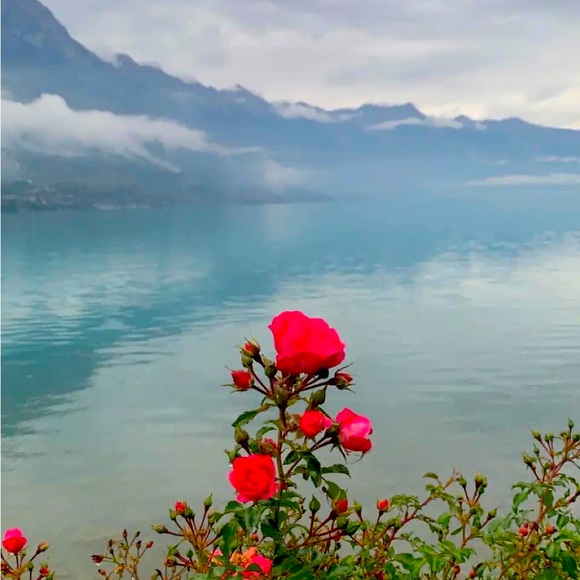 Meet your Posher - Picture 1 of 1